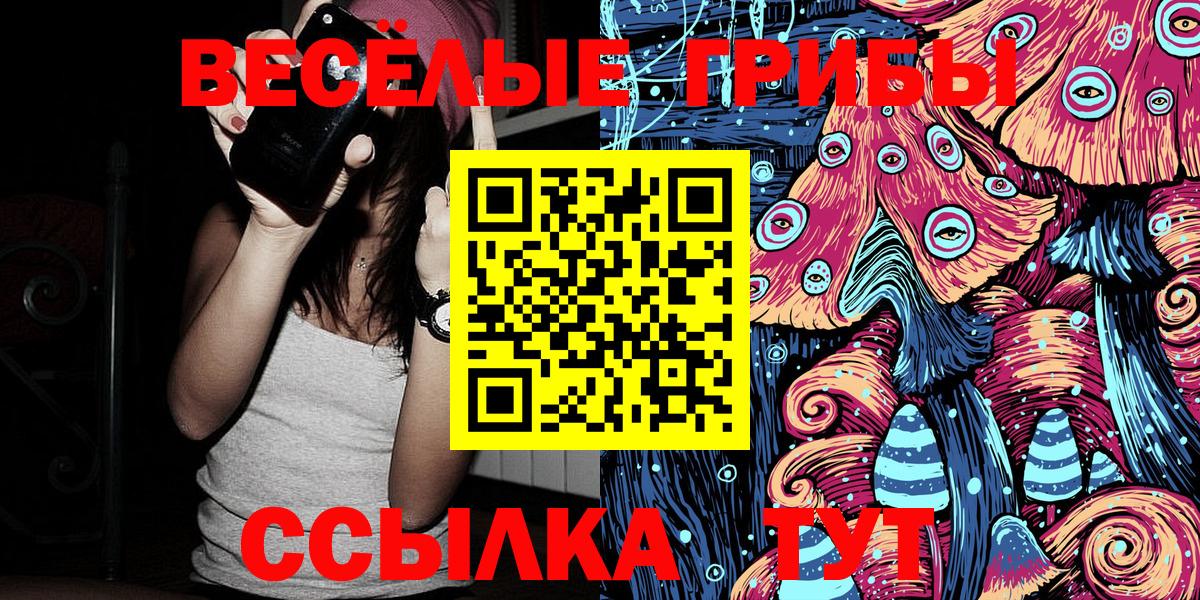 Галлюциногенные грибы мицелий  Вход с VPN  Прокопьевск 